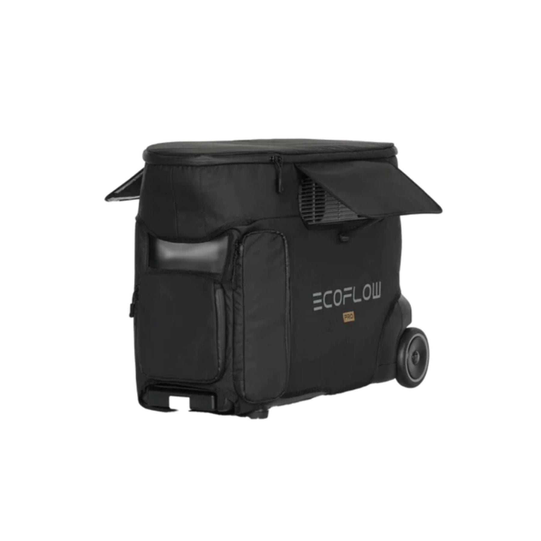 EcoFlow DELTA Pro Bag