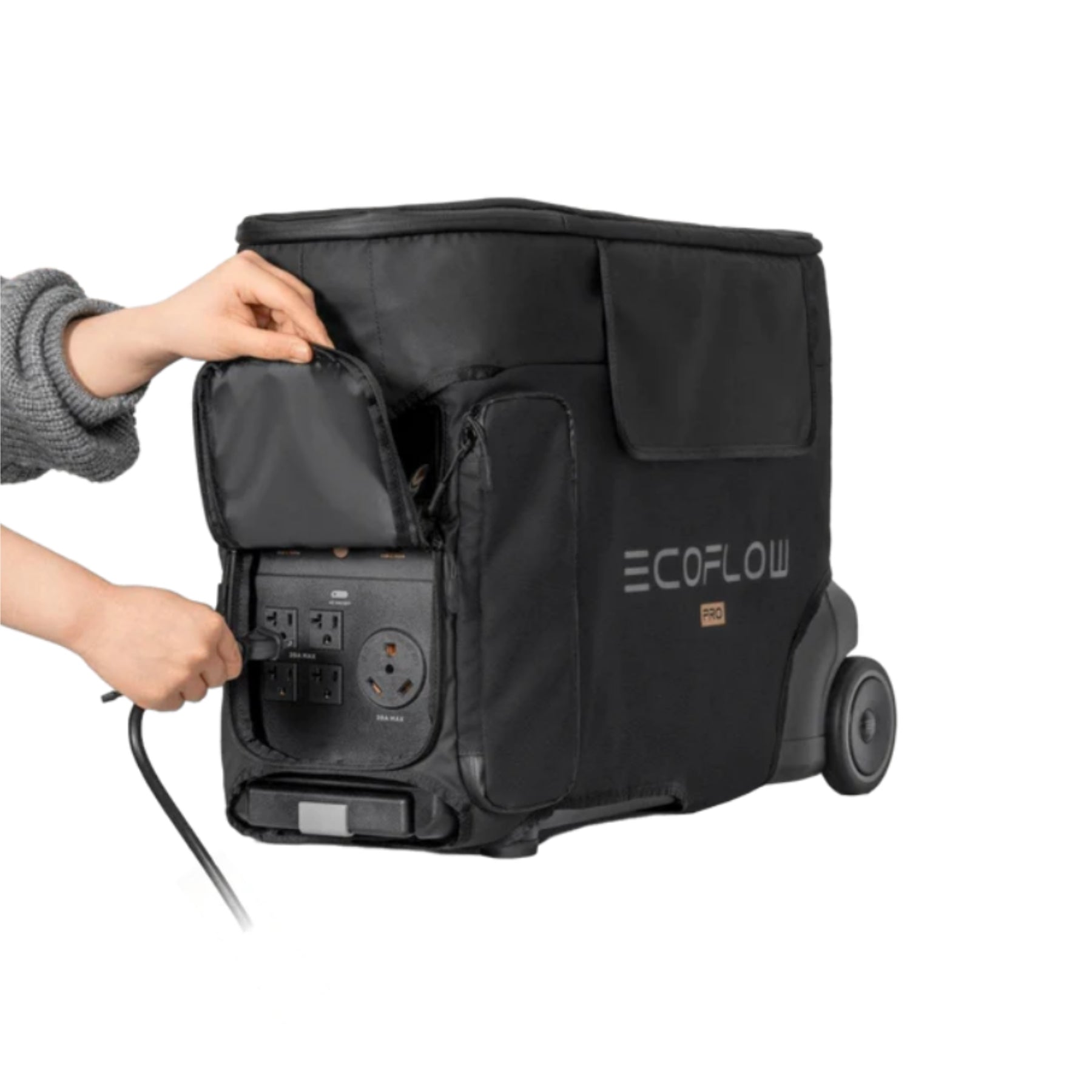 EcoFlow DELTA Pro Bag