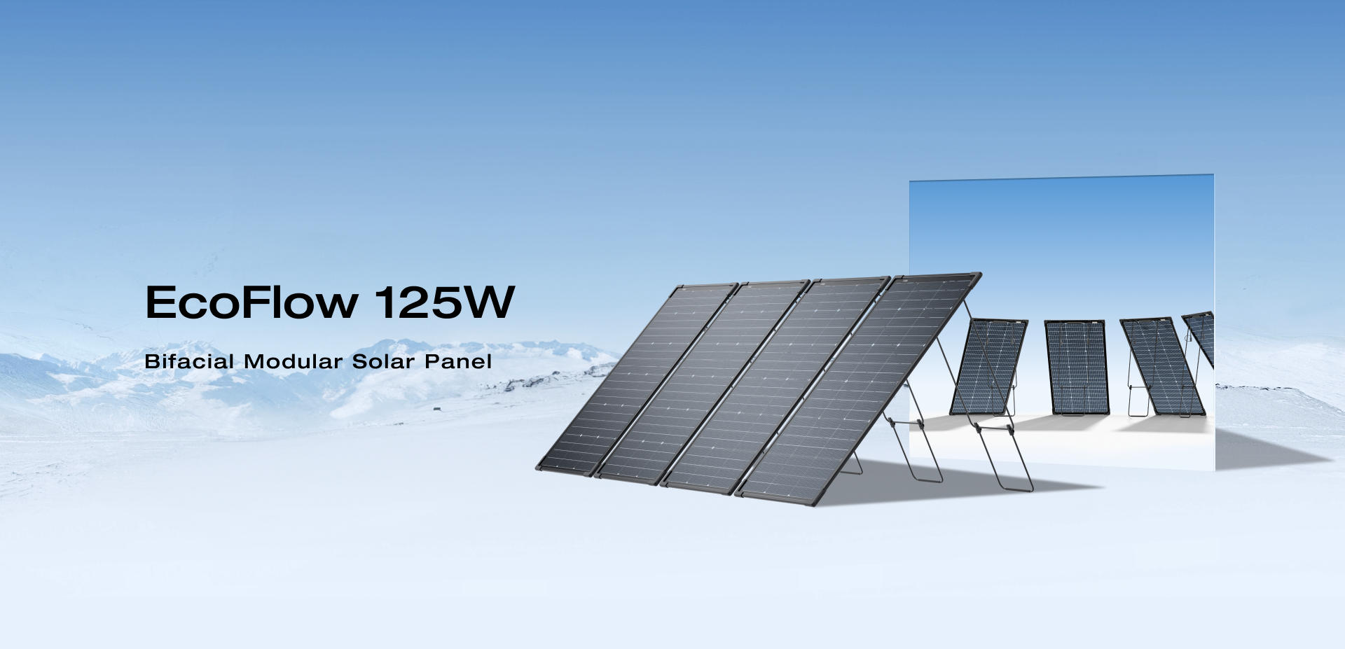 EcoFlow 125W Bifacial Modular Solar Panel - 4 pack